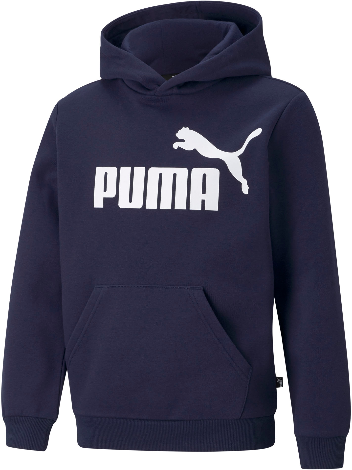 PUMA Kapuzensweatshirt »ESS BIG LOGO HOODIE FL B«