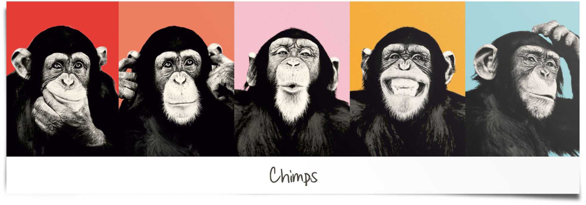 ❤ Reinders! Poster »Chimp Zeitung ordern Jelmoli-Online (1 Schimpanse«, Shop St.) im Affe