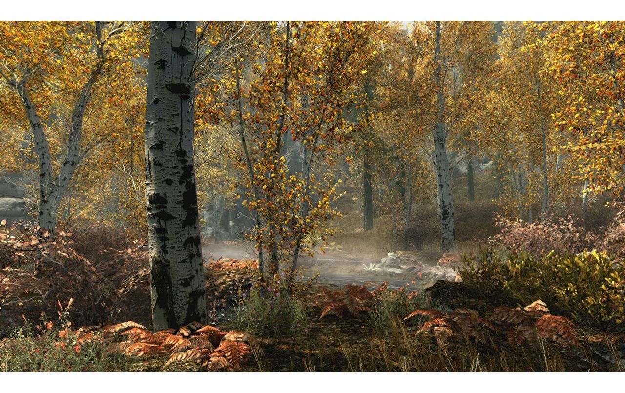 Nintendo Spielesoftware »The Elder Scrolls 5: Skyrim«, Nintendo Switch