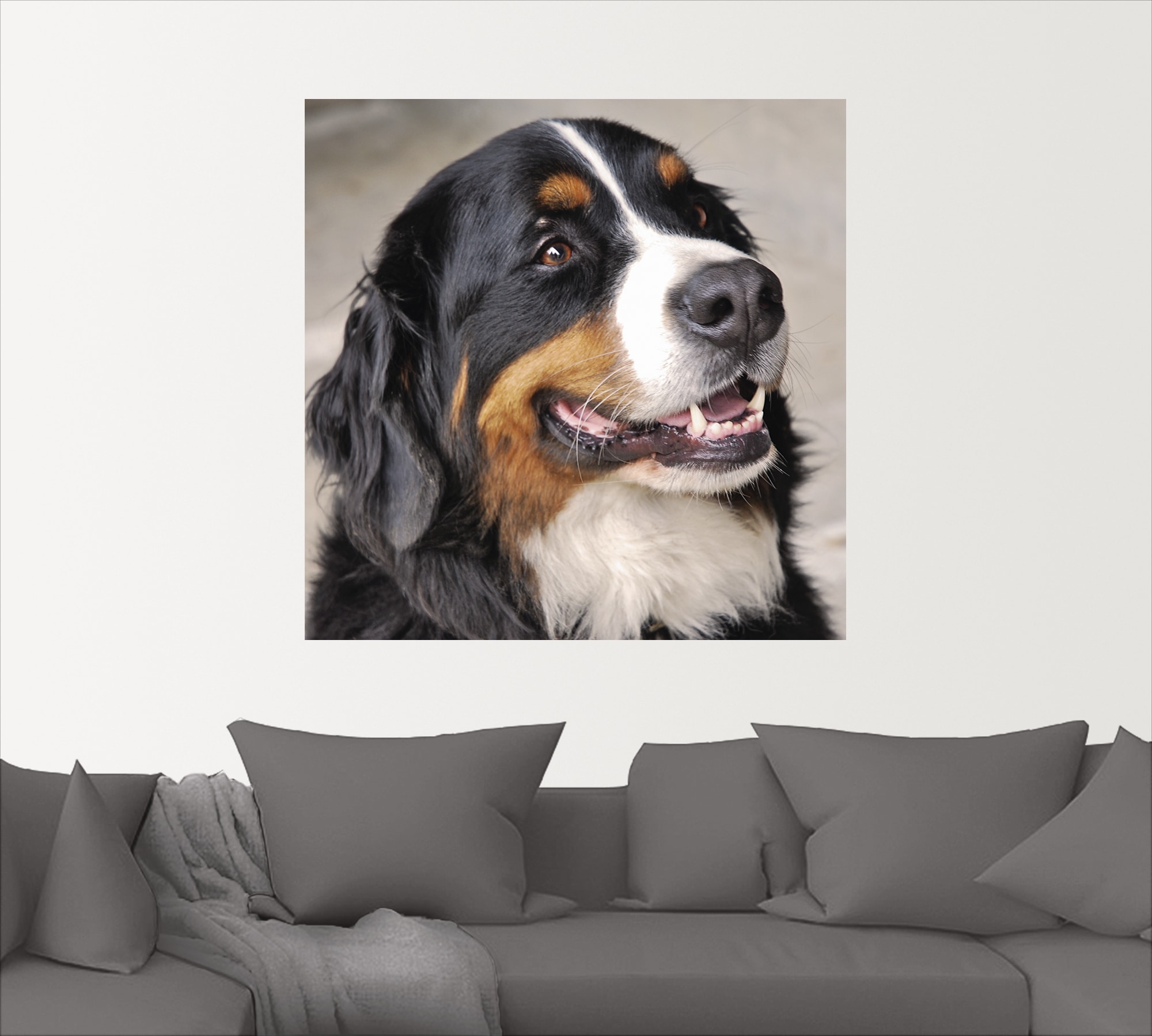 Artland Wandbild »Berner Sennenhund«, Haustiere, (1 St.), als Leinwandbild,  Wandaufkleber oder Poster in versch. Grössen online kaufen | Jelmoli-Versand