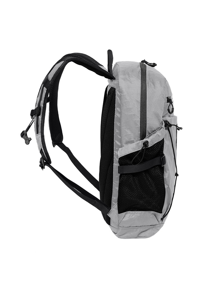 Jack Wolfskin Daypack »WANDERMOOD PACK 20«