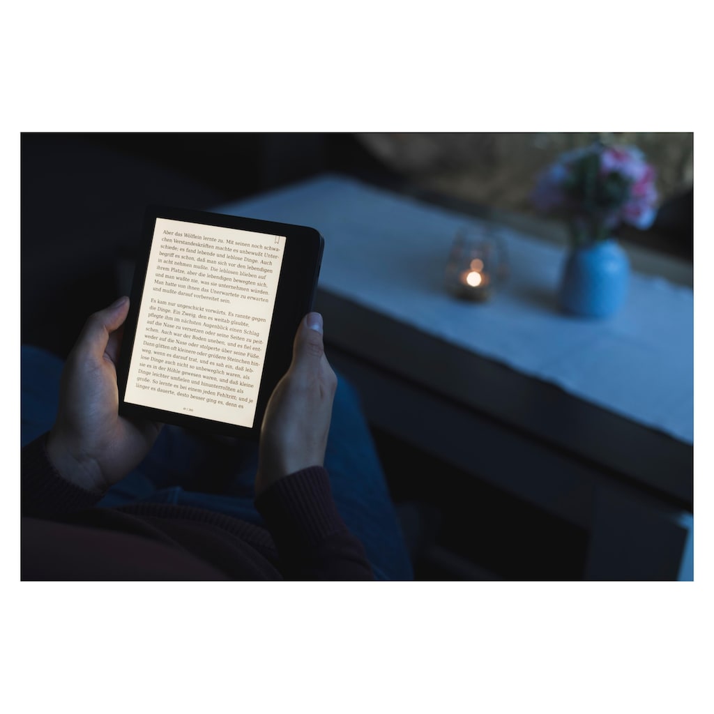 Tolino E-Book »Reader Vision«