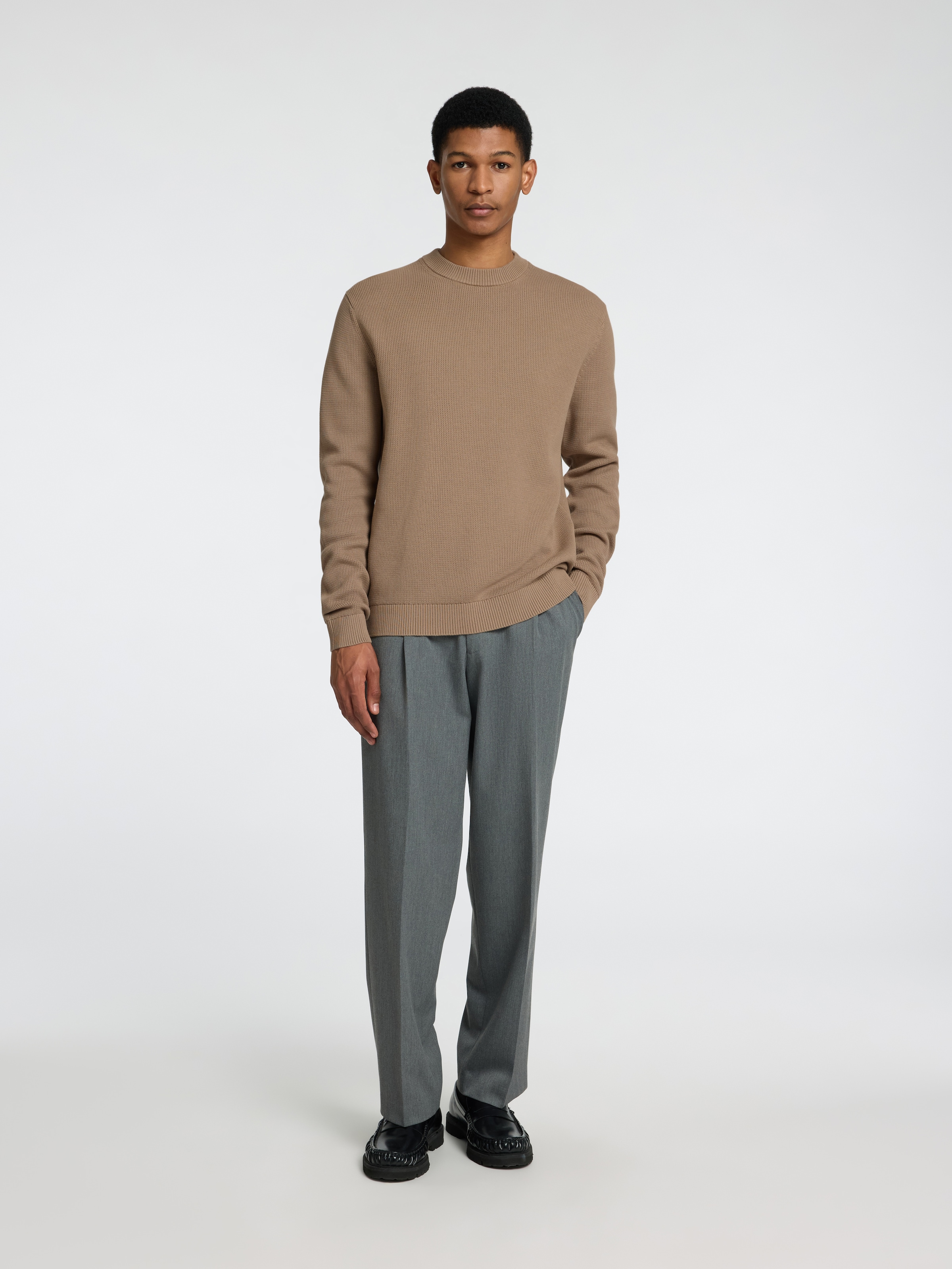 SELECTED HOMME Rundhalspullover »SLHDANE LS KNIT STRUCTURE CREW NECK NOOS«