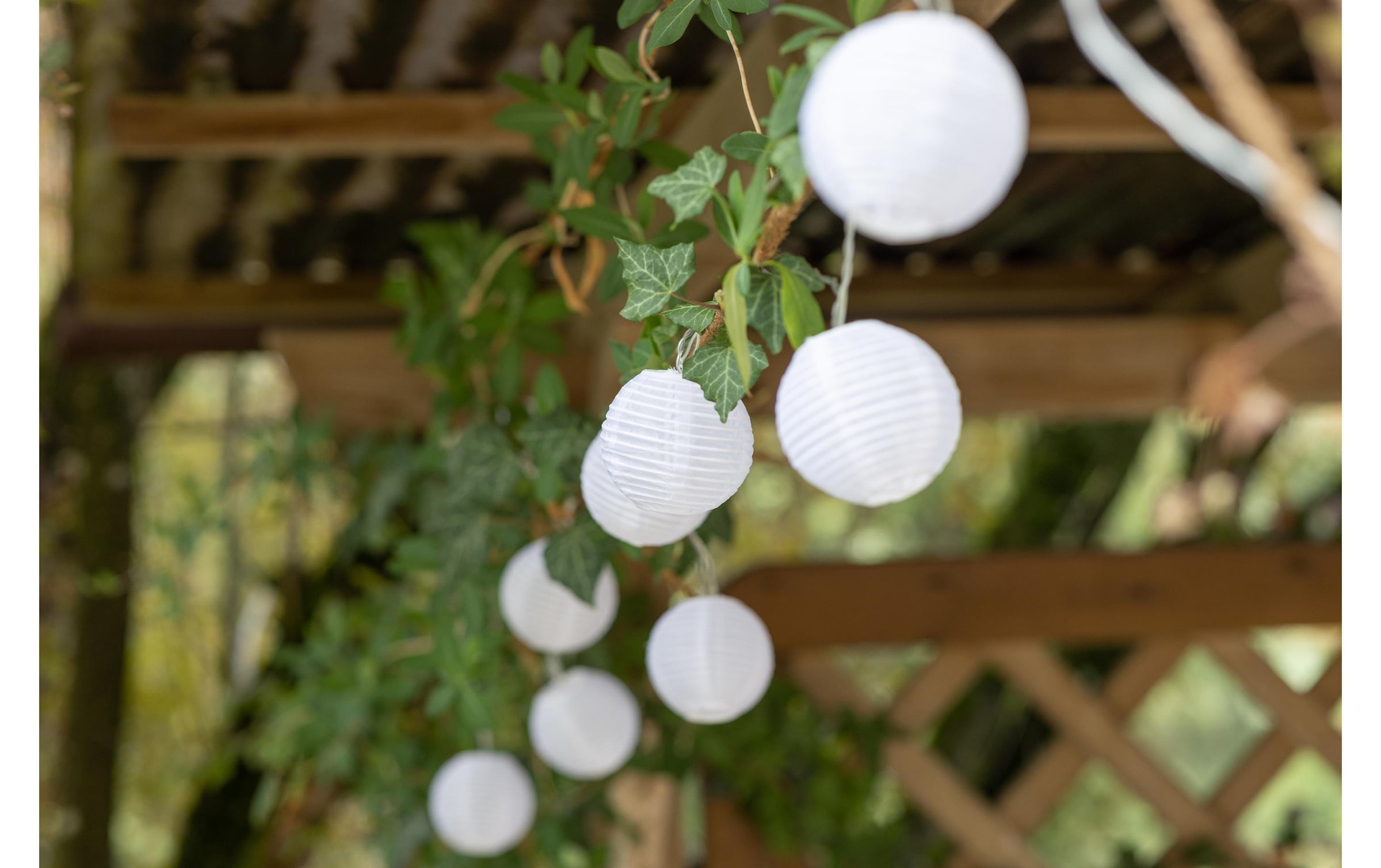 »LED Solar LED-Lichterkette 10 Weiss«, St.-flammig Cocon online