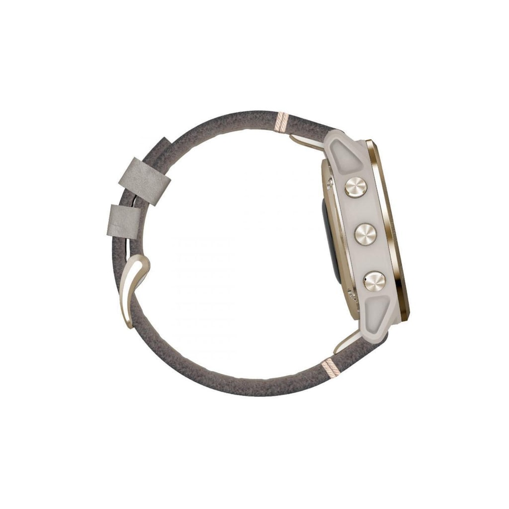 Garmin Smartwatch »Fenix 6S Sapphire Silberfarben/Grau/Goldfarben«
