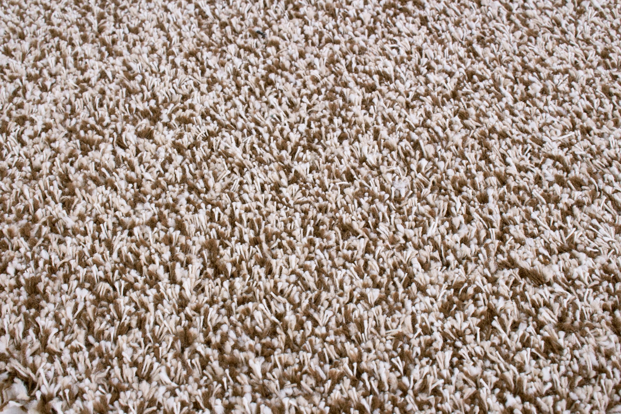 my home Fussmatte »Sydney, Made in Netherlands«, rechteckig, 6 mm Höhe, Schmutzfangmatte, melierte Optik, rutschhemmend, für In- und Outdoor