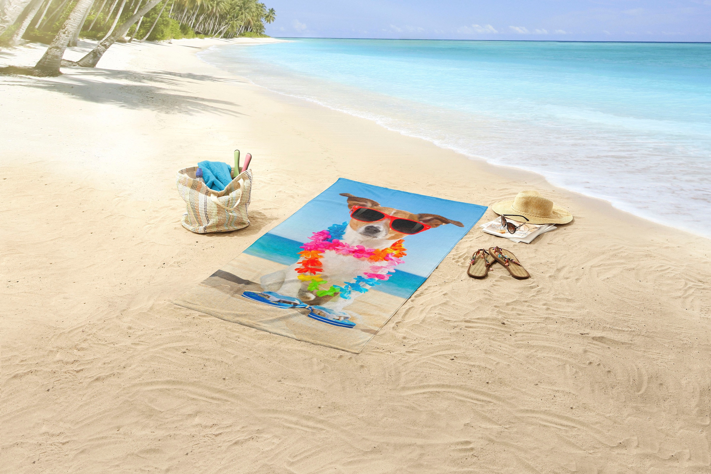 ✵ good morning St.), | Sonnenbrille Strandtuch online »Buddy«, & mit entdecken Hund Jelmoli-Versand (1