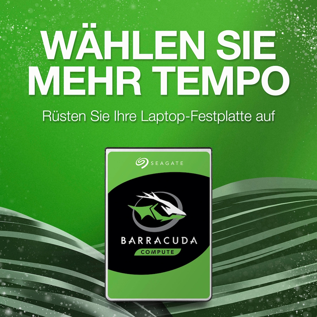 Seagate HDD-Festplatte »BarraCuda Mobile«, 2,5 Zoll, Anschluss SATA II