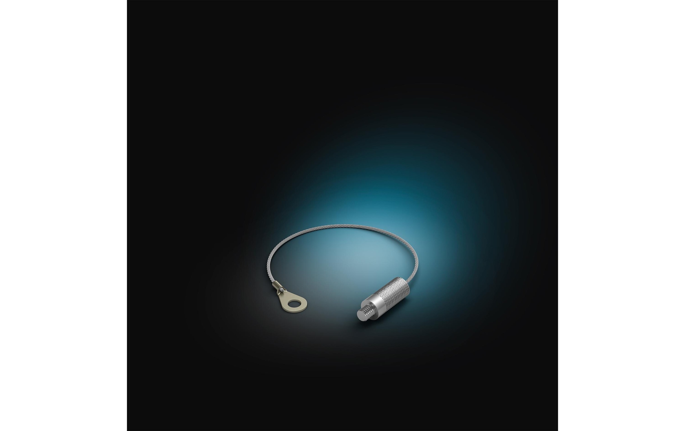 Philips Hue Smart-Home-Steuerelement »Kabel«