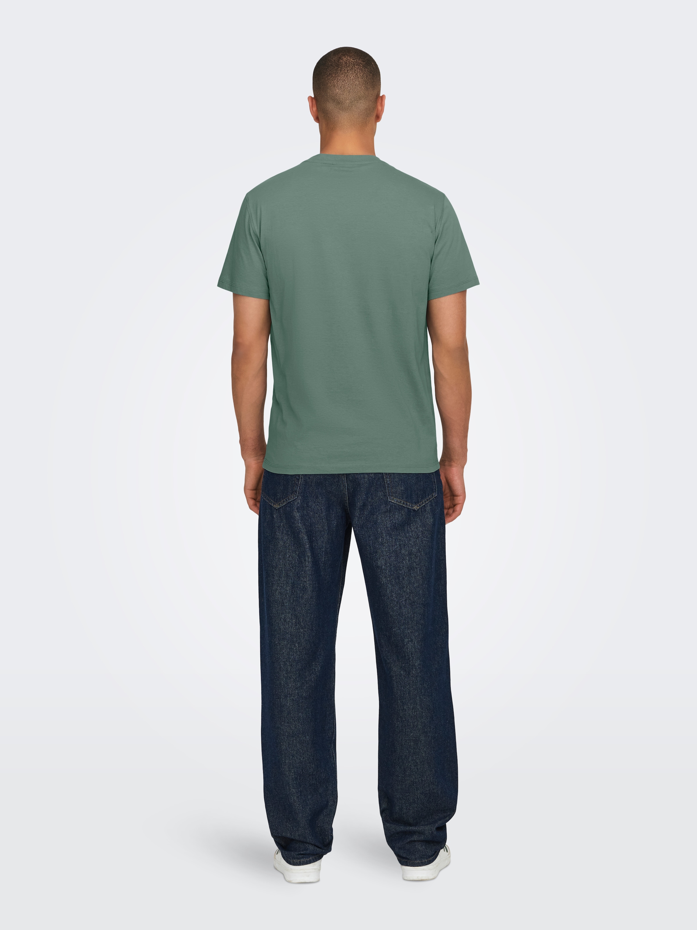 ONLY & SONS Rundhalsshirt »ONSMAX LIFE REG SS STITCH TEE«