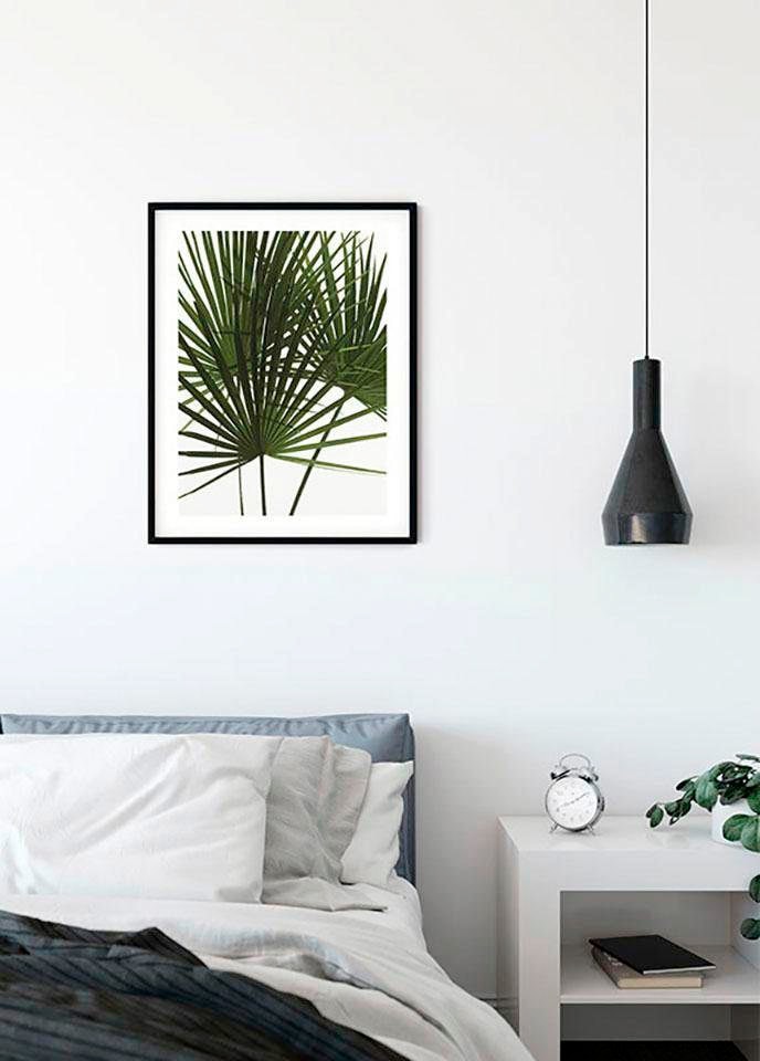 ❤ Komar Poster »Palmtree Leaves«, Shop Schlafzimmer, Pflanzen, im Jelmoli-Online Kinderzimmer, Wohnzimmer ordern