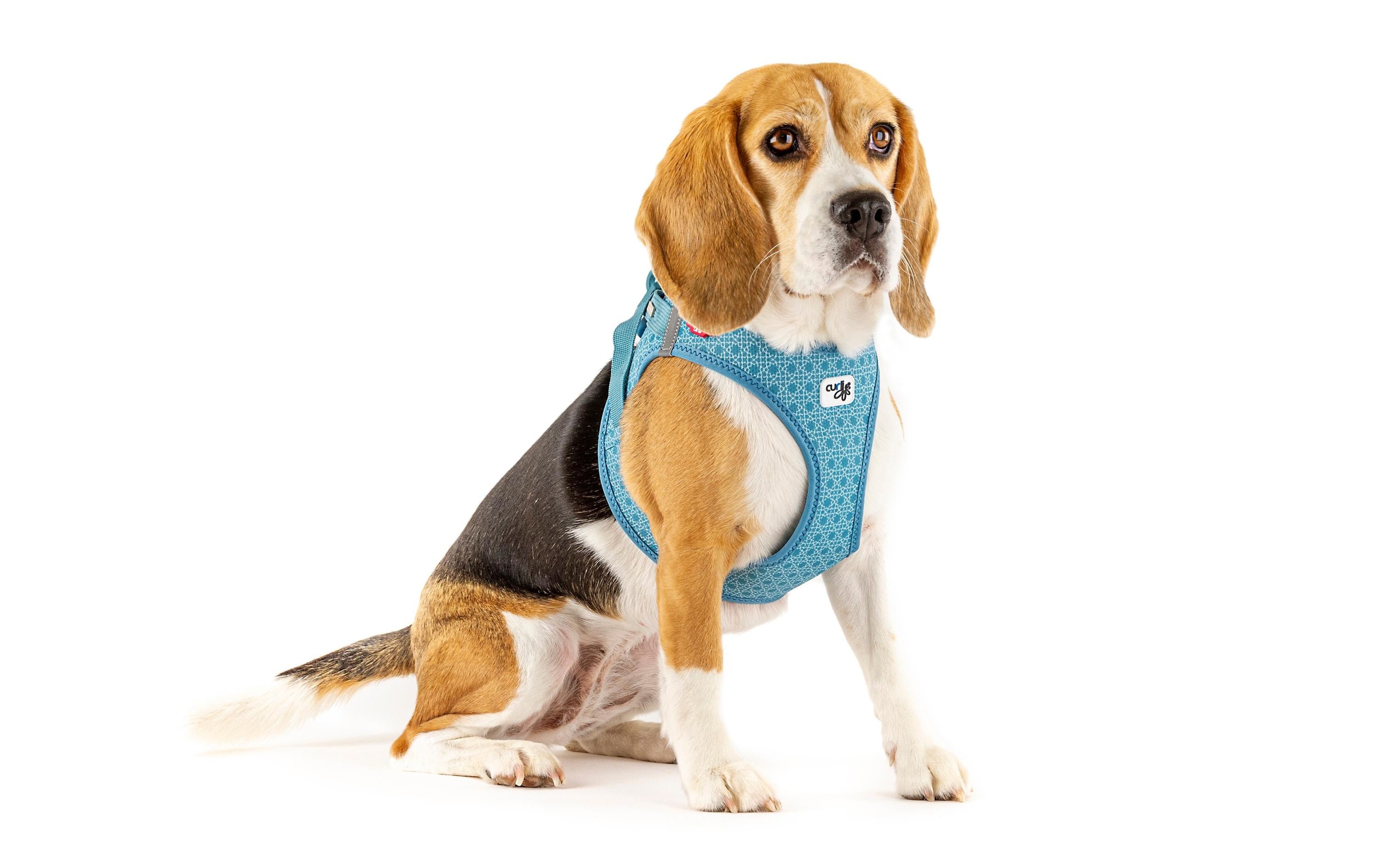 Curli Hunde-Geschirr »Vest Air-Mesh 2XS«, Polyester, Hunderasse: Yorkshire Terrier