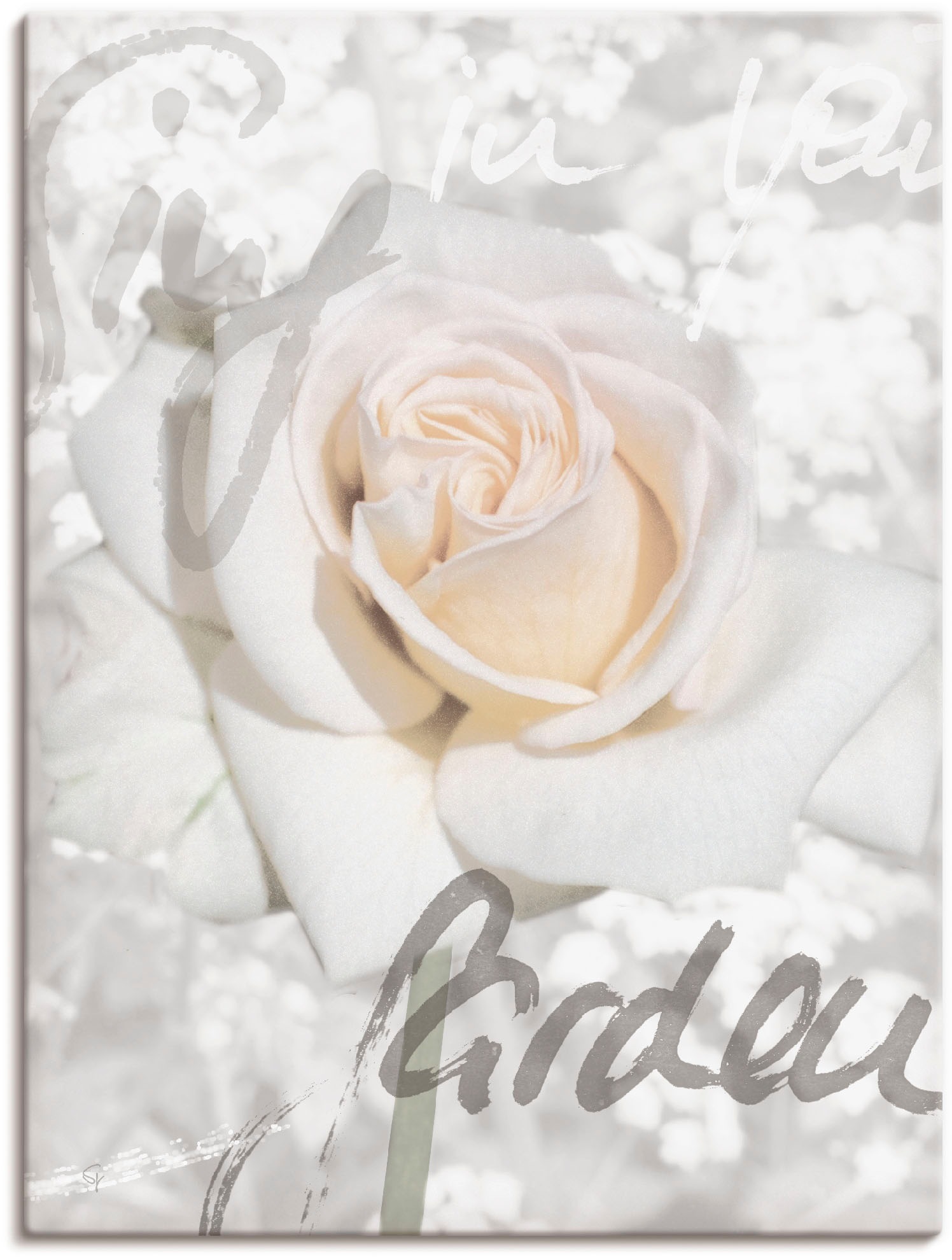 Artland Wandbild »In Lettern - Rose«, Blumen, (1 St.), als Alubild, Outdoorbild, Leinwandbild, Poster in verschied. Grössen