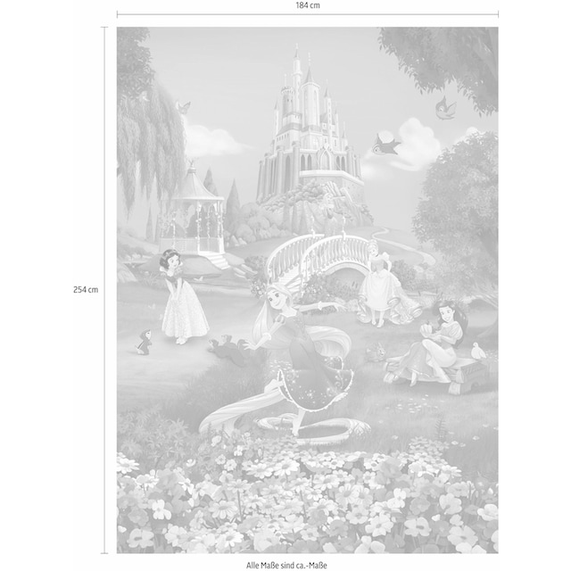 ✵ Komar Fototapete »Princess Sunset«, 184x254 cm (Breite x Höhe), inklusive  Kleister günstig ordern | Jelmoli-Versand