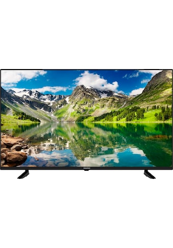 Grundig LED-Fernseher »50 VOE 20 UHT000«, 126 cm/50 Zoll, 4K Ultra HD, Smart-TV kaufen