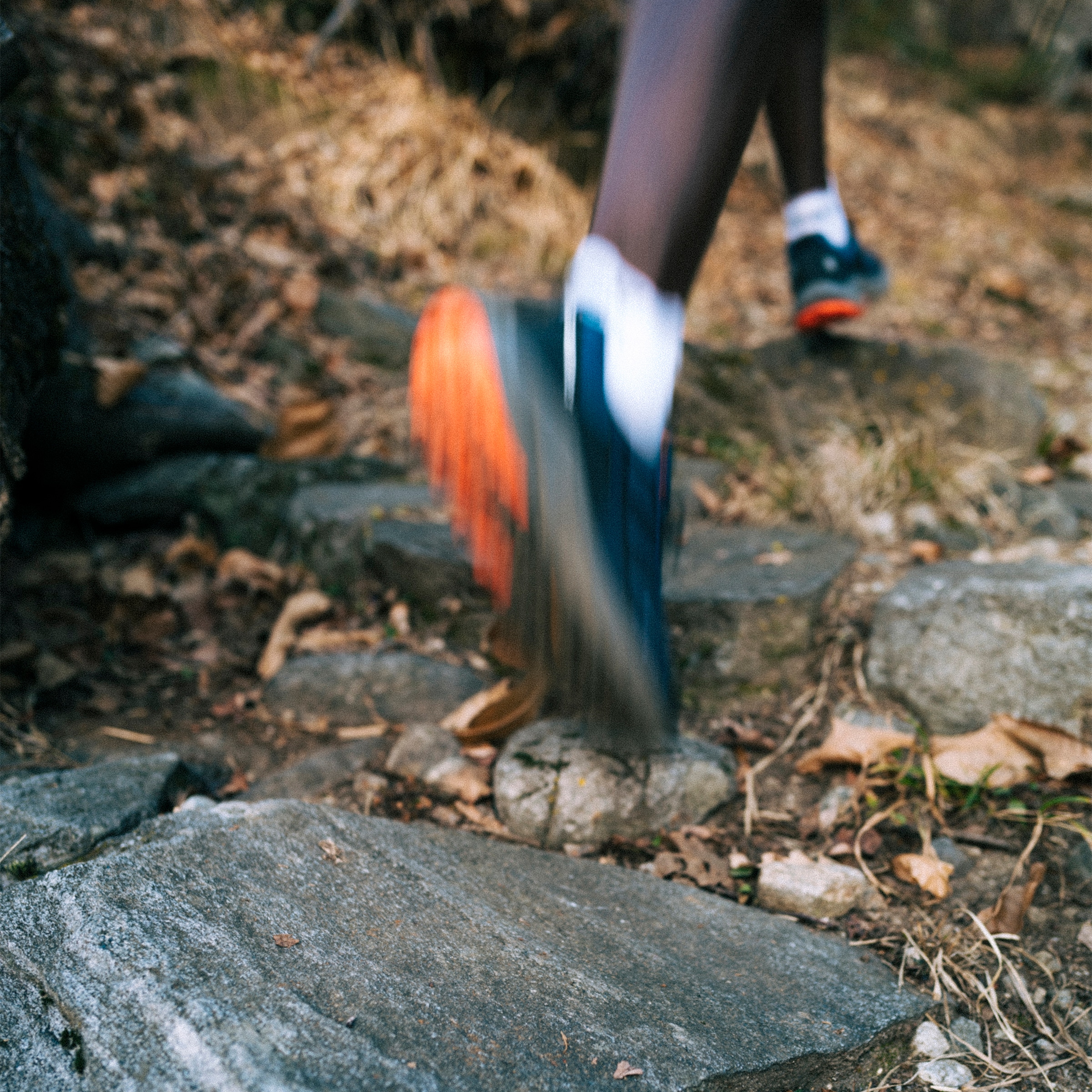 adidas TERREX Laufschuh »TRAIL RIDER GORE-TEX TRAILRUNNING«, wasserdicht