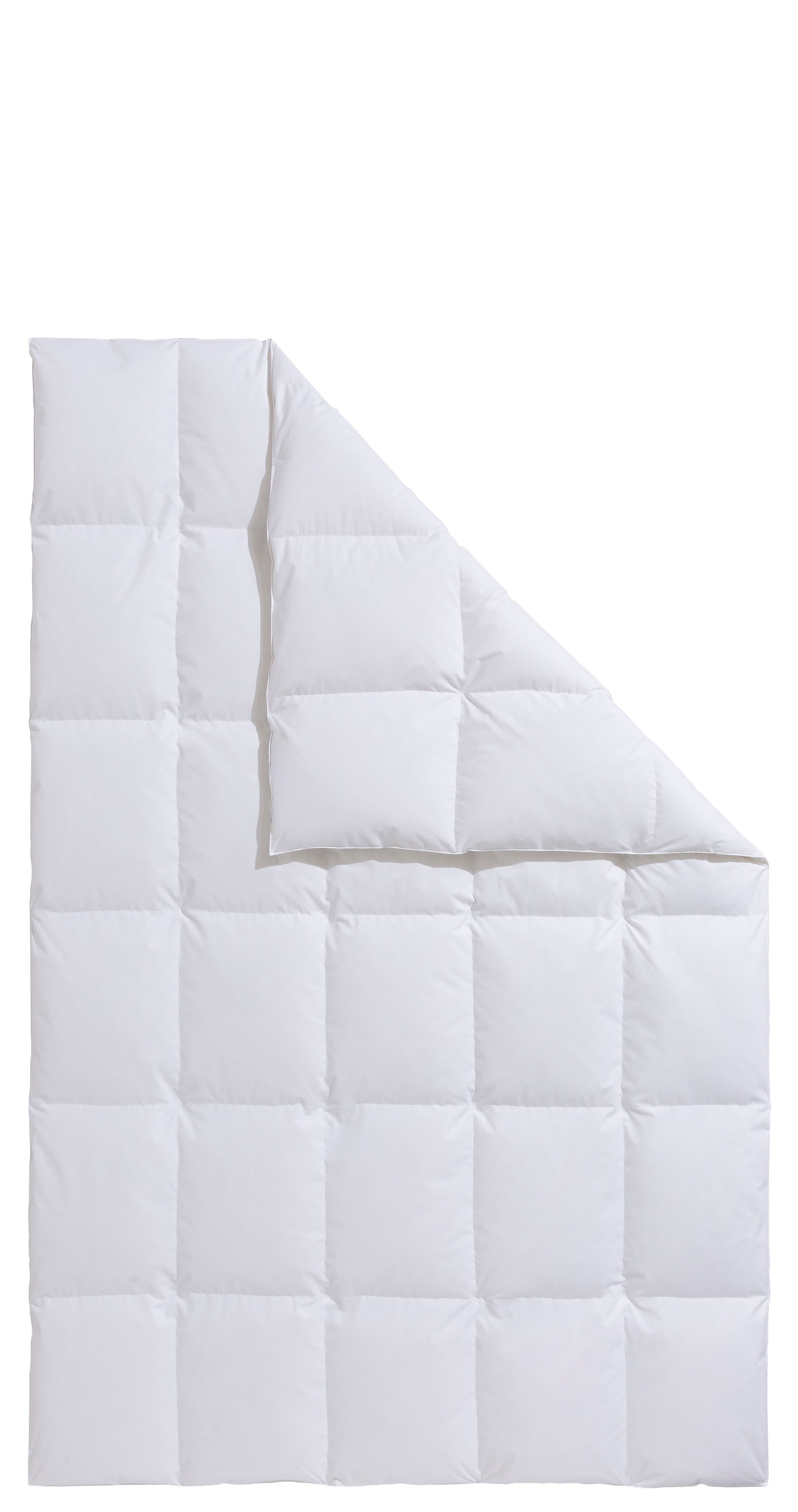 OTTO home Daunenbettdecke "Köniz, Bettdecke 135x200 cm, 155x220 cm und weitere Größen" normal Füllung 60Daunen40Federn 1 Stk. tlg. Bettdecken, Sommer, Winter, Decke ist Made in Green zertifiziert