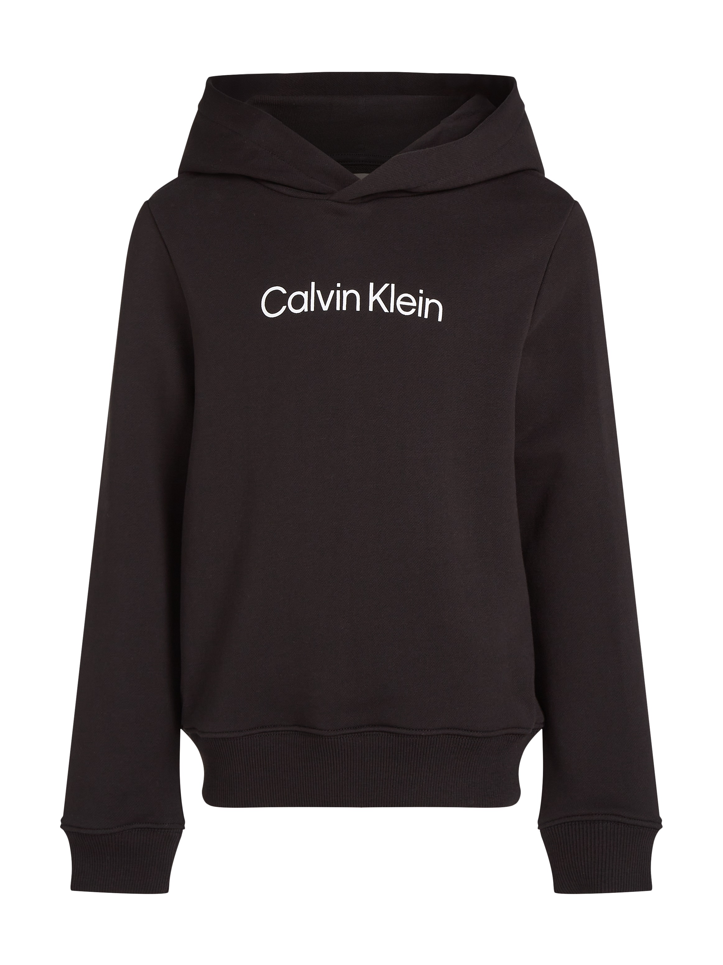 Calvin Klein Jeans Kapuzensweatshirt »Inst. Logo Reg. Terry Hoodie«, für Kinder bis 16 Jahre und mit Logoschriftzug
