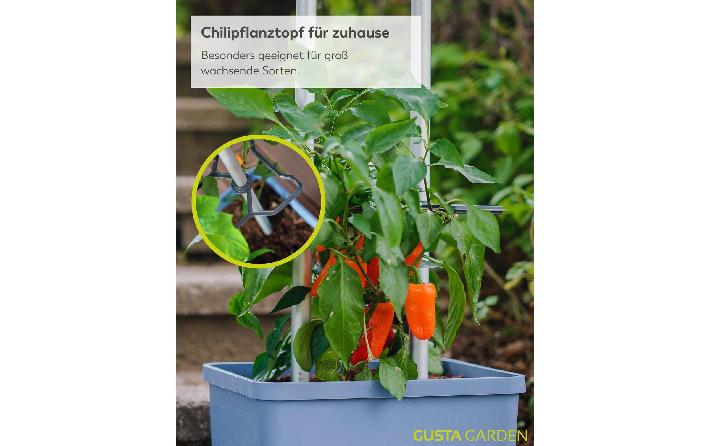 Gusta Garden Anzuchttopf »Charly Chili XL«