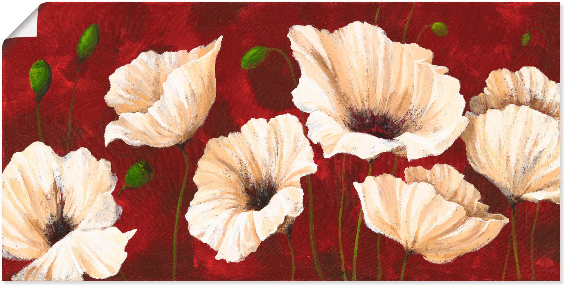 Artland Wandbild "Weisse Mohnblumen vor rot" Blumen 1 Stk. tlg. als Leinwandbild, Poster in verschied. Grössen