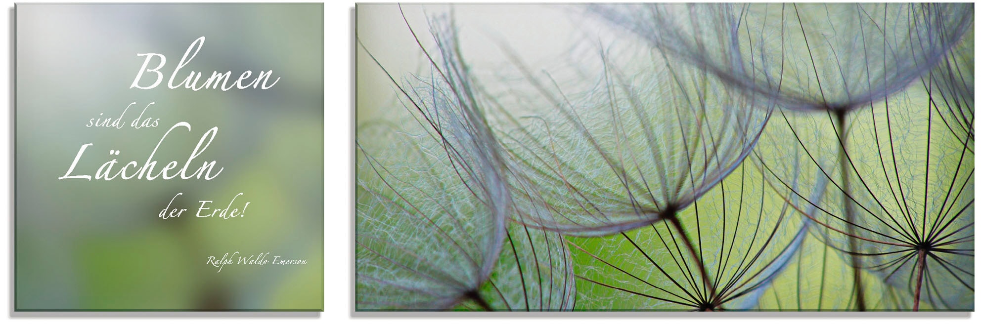 Artland Glasbild »Zitatenbild, PusteblumenSamen«, Sprüche & Texte, (2