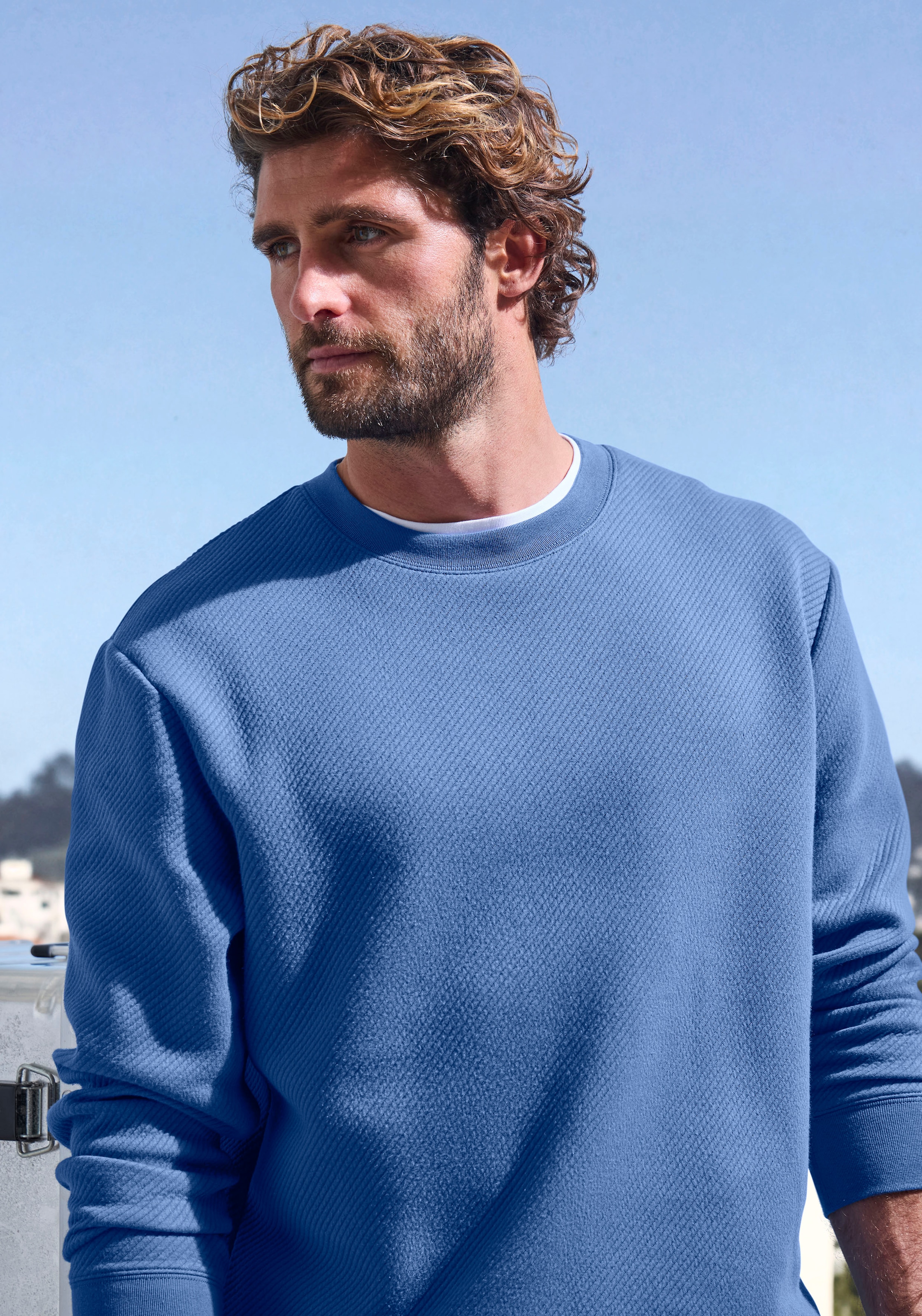 John Devin Sweatshirt, Langarm, Sweatshirt mit Struktur, Rundhals, Baumwollmischung