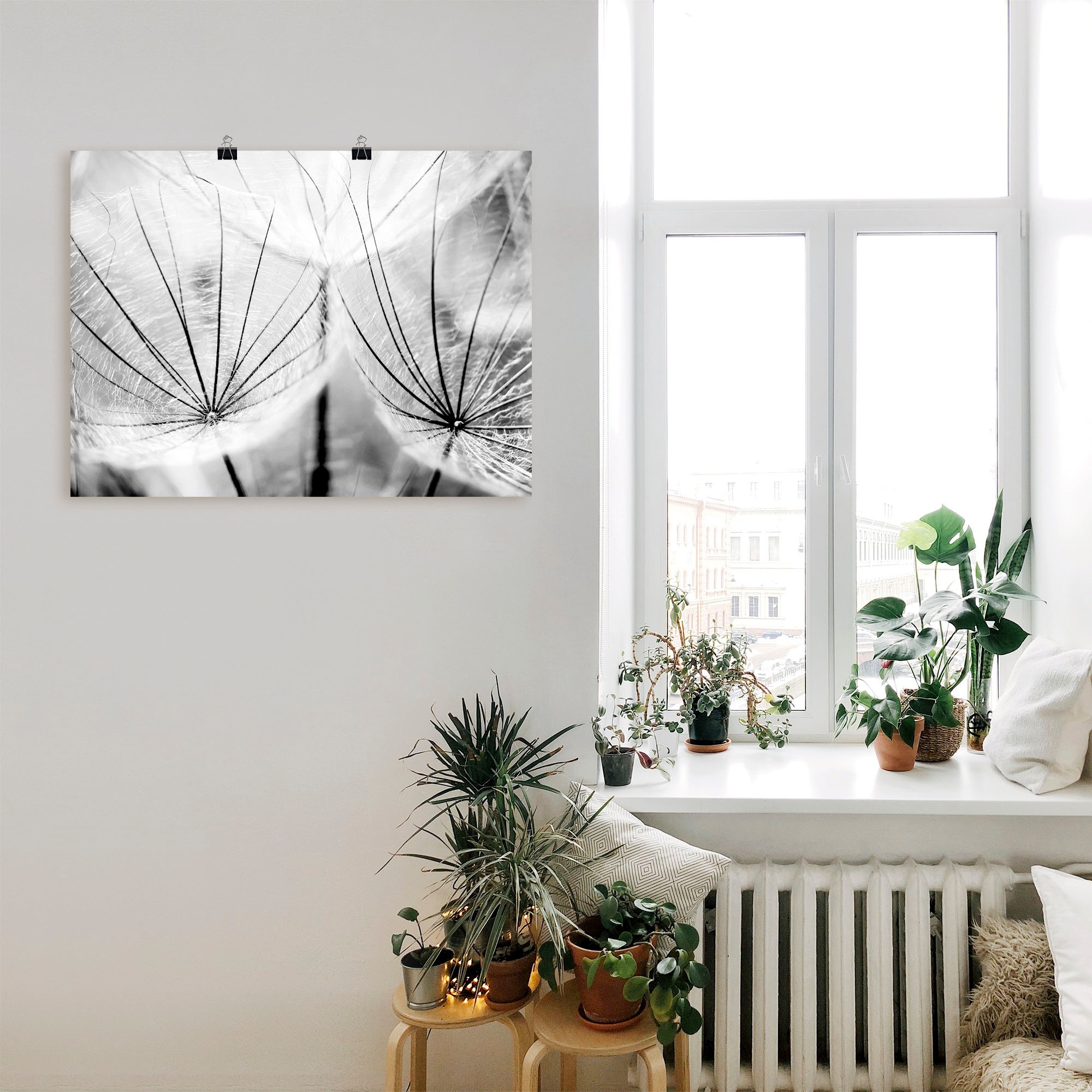 Artland Wandbild »Pusteblume in schwarzweiss«, Blumen, (1 St.), als Alubild, Outdoorbild, Leinwandbild, Poster, Wandaufkleber