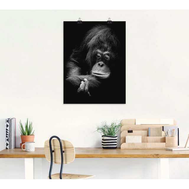 Artland Wandbild »Der nachdenkliche Orang Utan«, Affenbilder, (1 St.), als  Alubild, Leinwandbild, Wandaufkleber oder Poster in versch. Grössen online  bestellen | Jelmoli-Versand