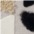 natur/champagner/beige + Kreise