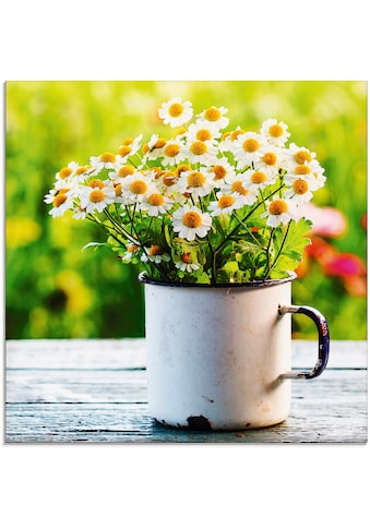 Artland Glasbild »Frühlingsgarten mit Gänseblümchen«, Blumen, (1 St.) kaufen