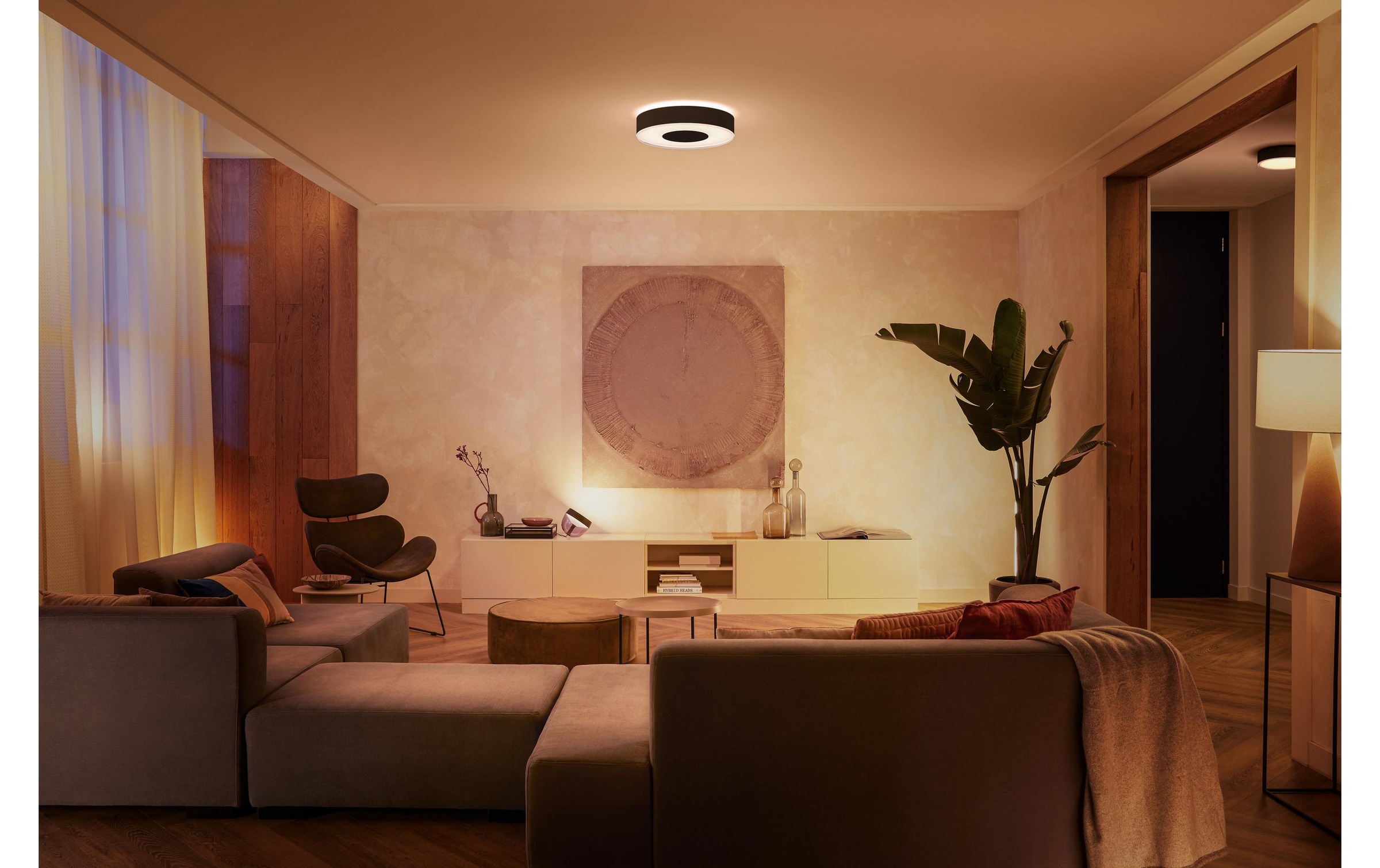 Philips Hue Deckenleuchte »White«, 1 flammig