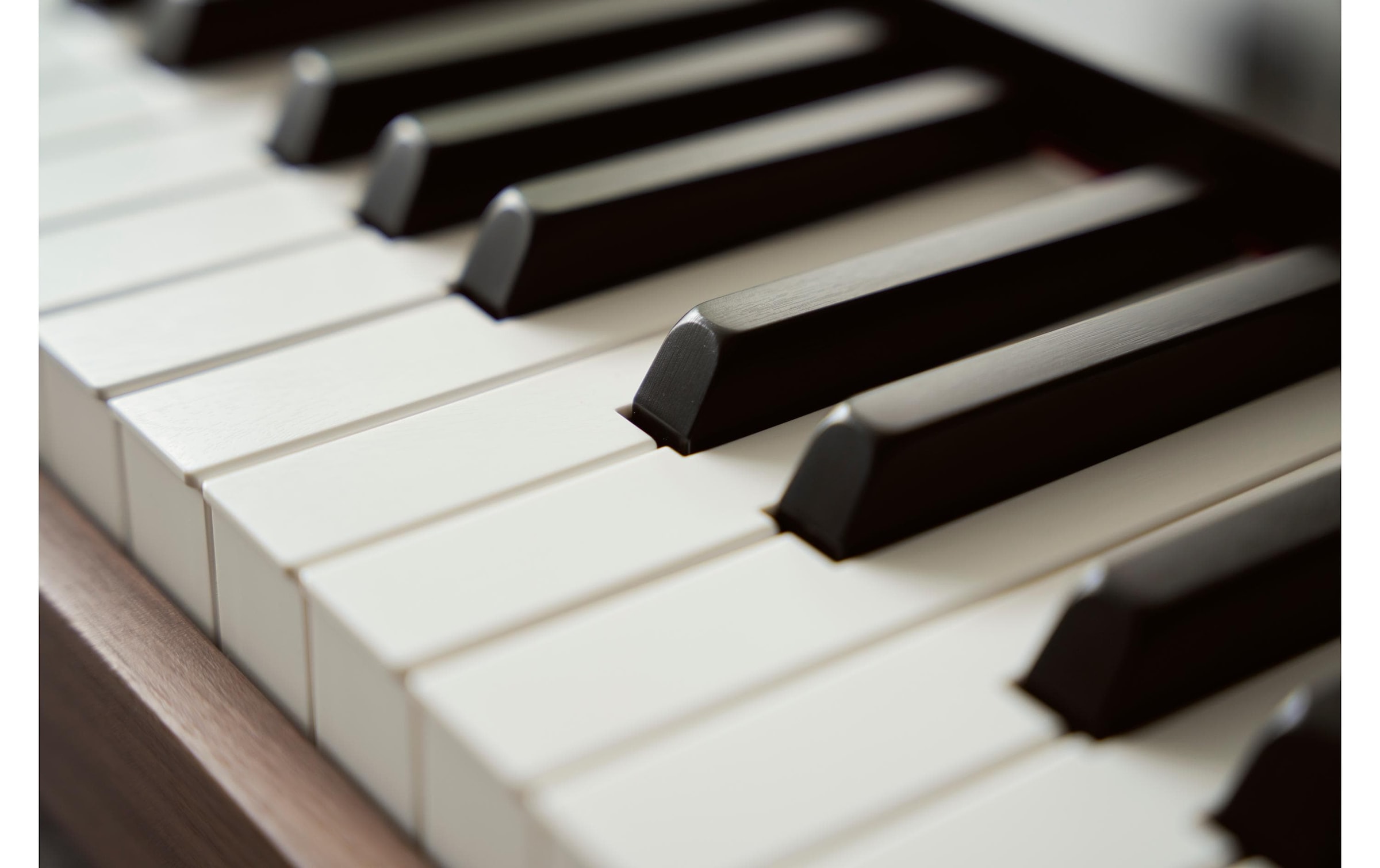 CASIO Digitalpiano »Privia PX-S6000 – Schwarz«