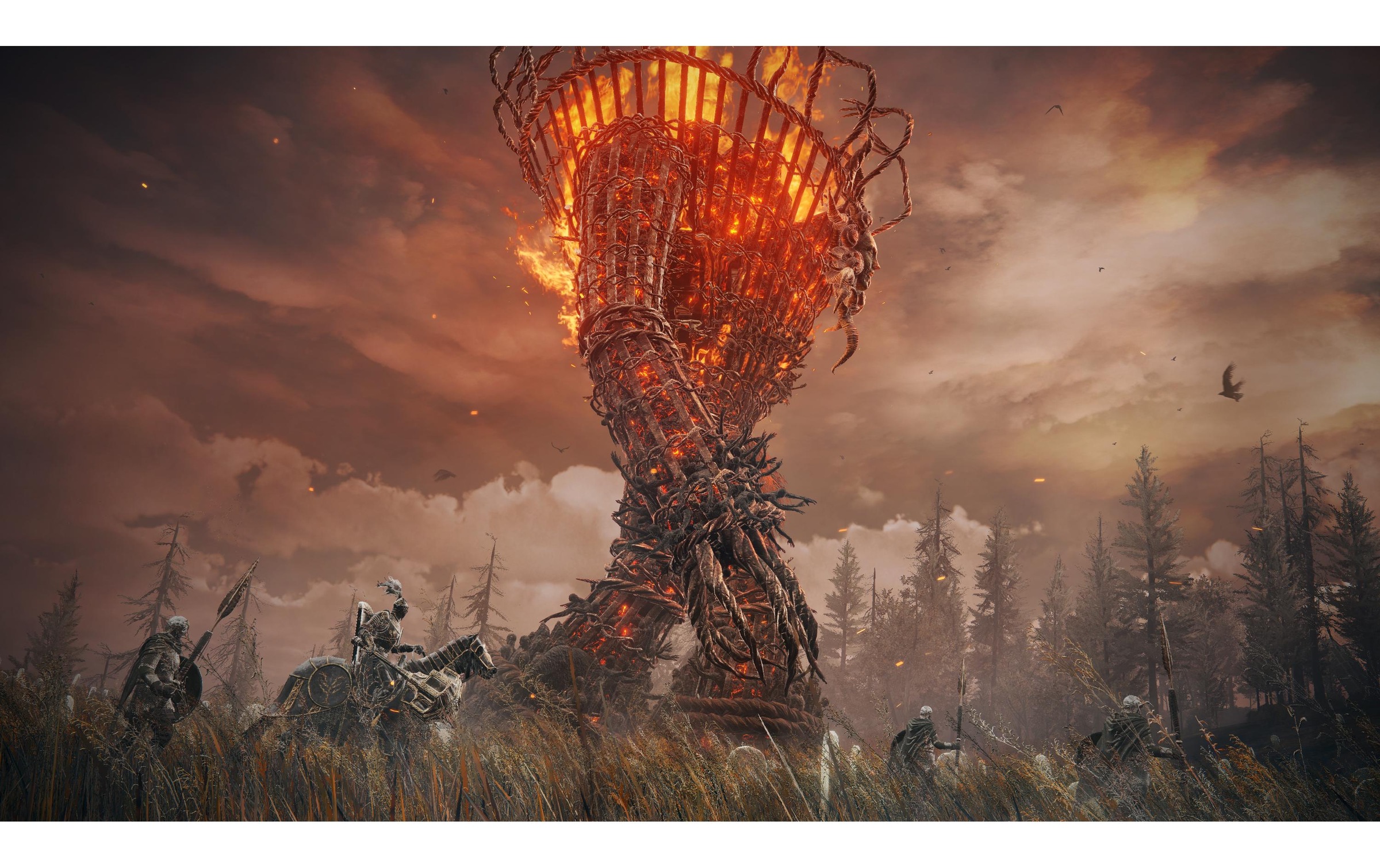 BANDAI NAMCO Spielesoftware »Namco Elden Ring – Shadow of the Erdtree Edition«, Xbox Series X