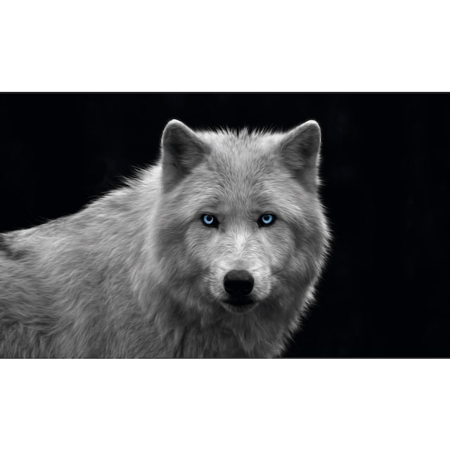 ❤ Reinders! Wandbild »Wolfsauge« kaufen im Jelmoli-Online Shop