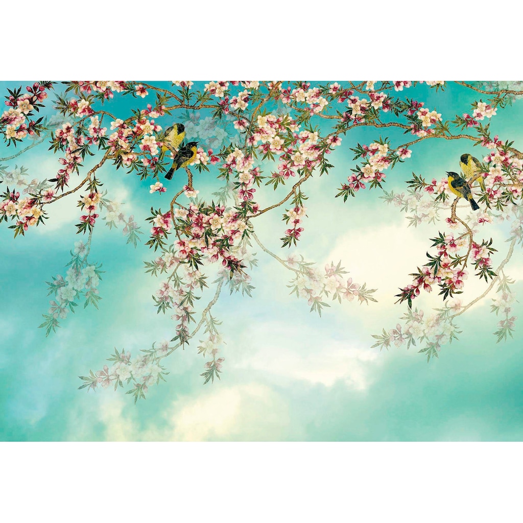 Komar Fototapete »Sakura«