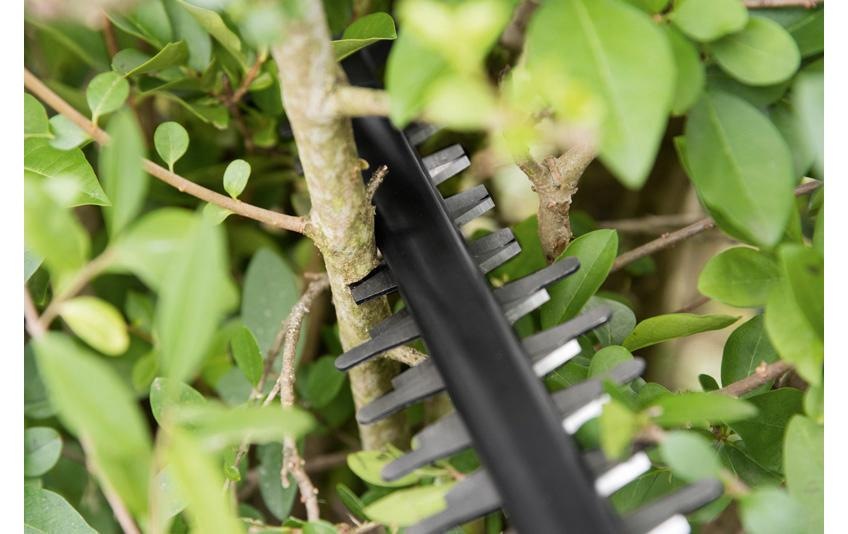 BOSCH Akku-Heckenschere »Bosch Akku-Heckenschere AHS 50-20 LI«