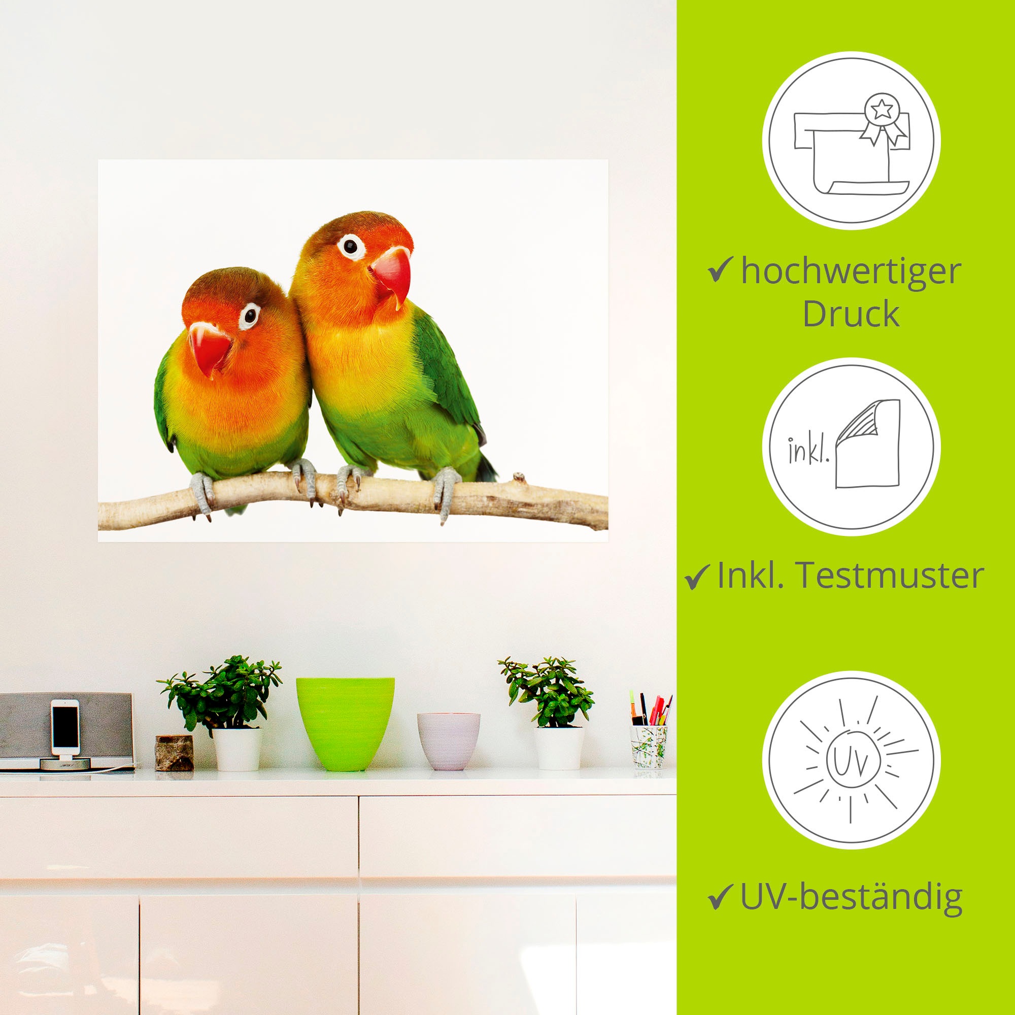 Artland Wandbild »Paar von Grauköpfchen - Papageien«, Vögel, (1 St.), als Leinwandbild, Poster, Wandaufkleber in verschied. Grössen