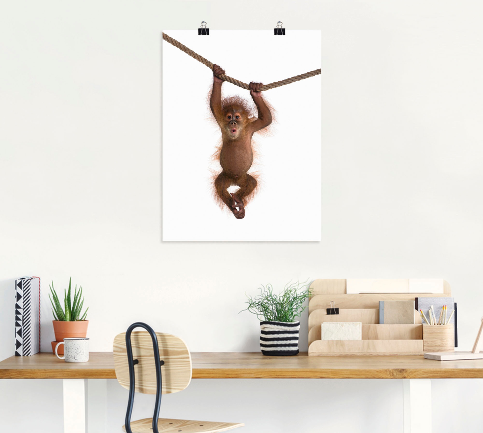 Artland Wandbild »Baby Orang Utan hängt an Seil II«, Wildtiere, (1 St.),  als Alubild, Leinwandbild, Wandaufkleber oder Poster in versch. Grössen  online shoppen | Jelmoli-Versand