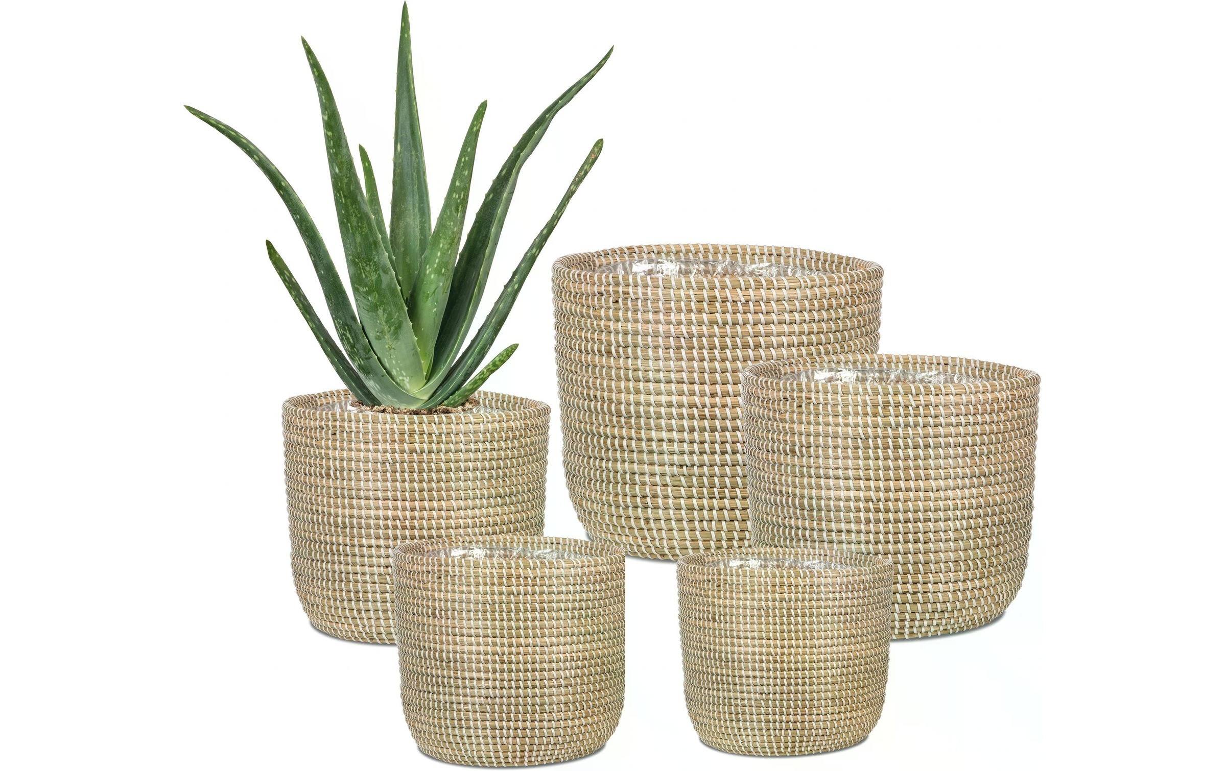 Scheurich Blumentopf »mit Folie«