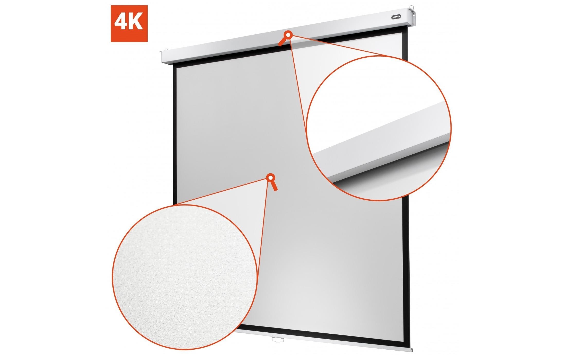 Celexon Rolloleinwand »Professional Plus 240x240 cm«
