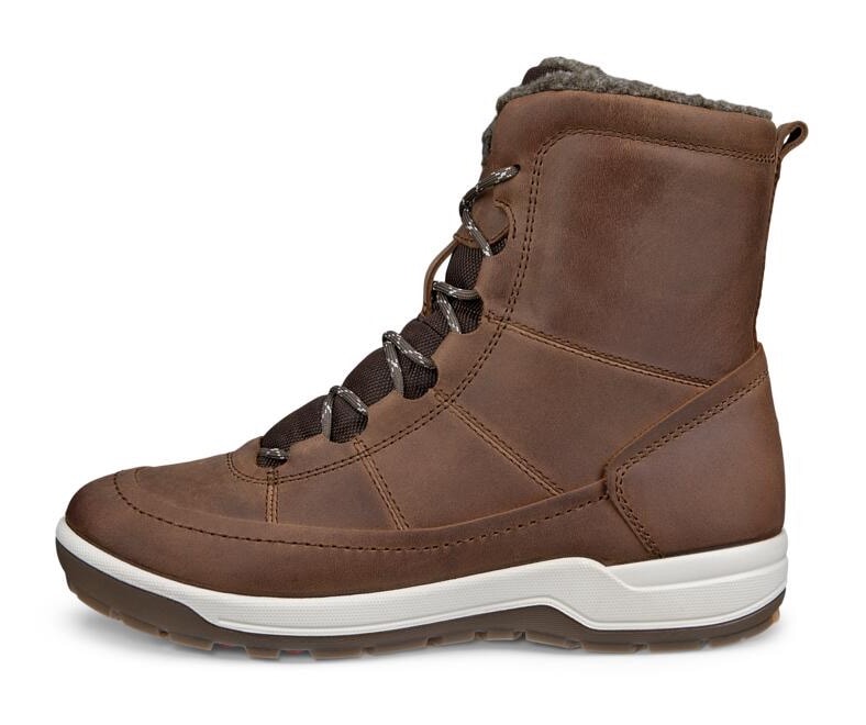 Ecco Winterboots »TRACE LITE«, Schnürboots, Outdoorboots mit waterproof-Ausstattung