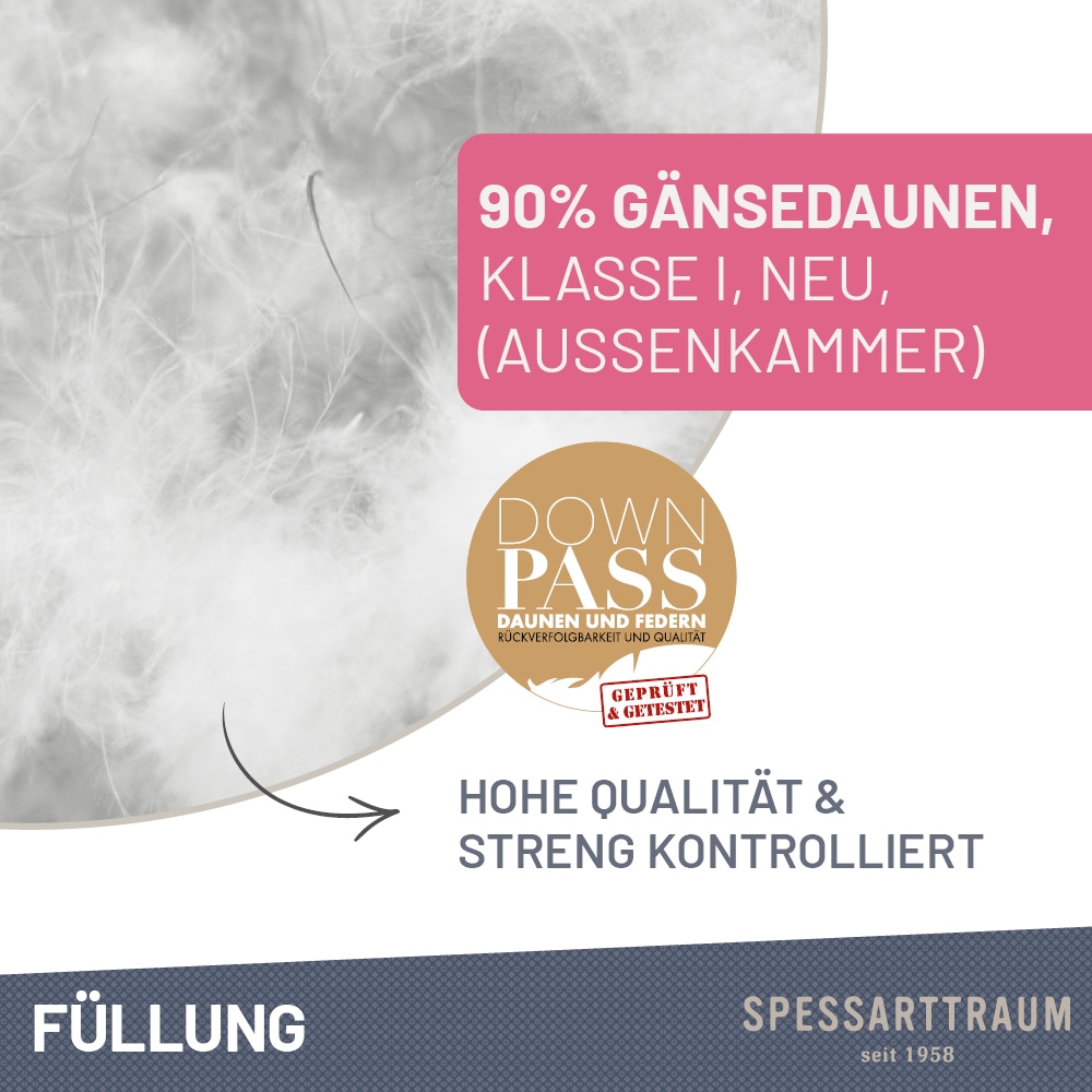SPESSARTTRAUM 3-Kammer-Kopfkissen »Premium«, Füllung: 90% Gänsedaunen / 10% Gänsefedern, Klasse 1, Downpass zertifiziert (Aussenkammern), Bezug: 100% Baumwolle, nachhaltig (Made in Green), Hausstauballergiker geeignet, (1 St.), gute Stützkraft