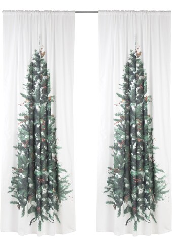 my home Vorhang »Tannenbaum«, (1 St.), mit Weihnachtsmotiv HxB: 230x140 kaufen
