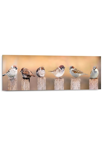 Reinders! Holzbild »Deco Panel 30x90 Bird Family« kaufen