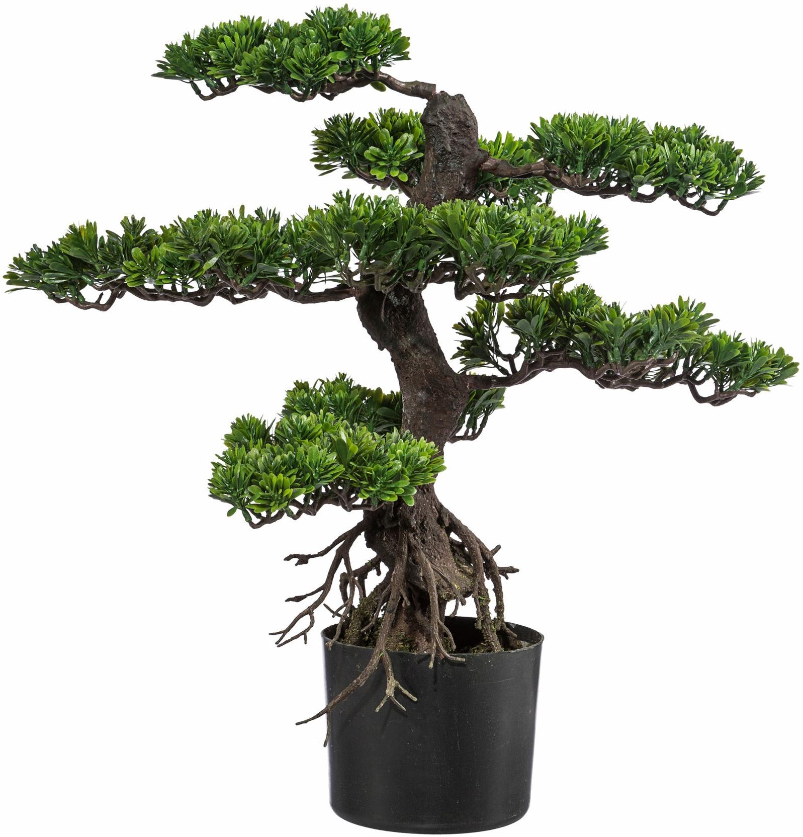 Creativ green Kunstbonsai »Bonsai«