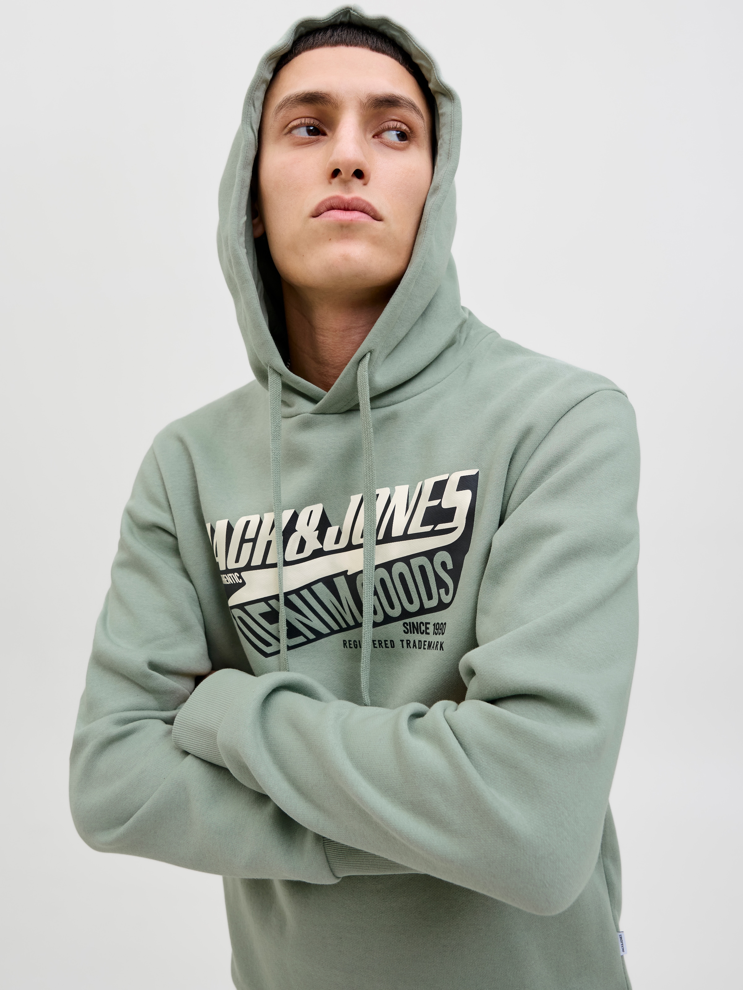 Jack & Jones Kapuzensweatshirt »JJELOGO SWEAT HOOD 2 COL 25/26 NOOS«