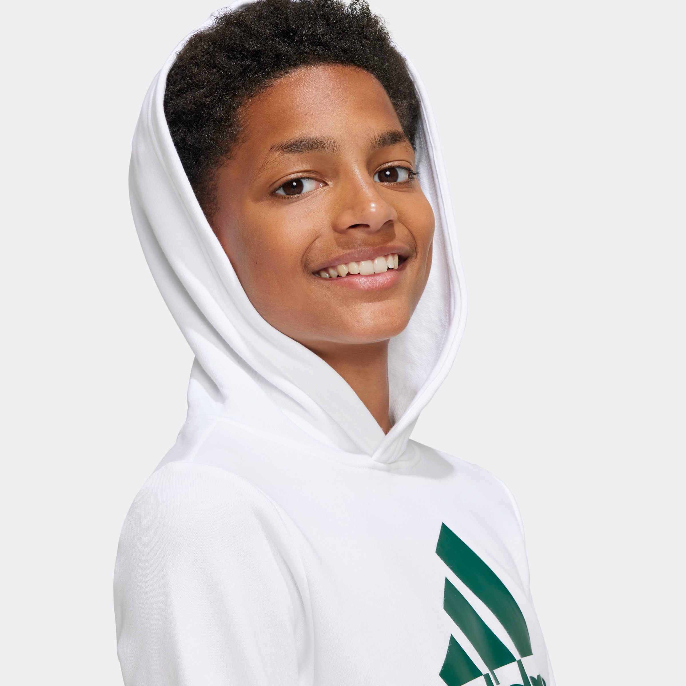 adidas Sportswear Kapuzensweatshirt »BIG LOGO ESSENTIALS COTTON HOODIE«