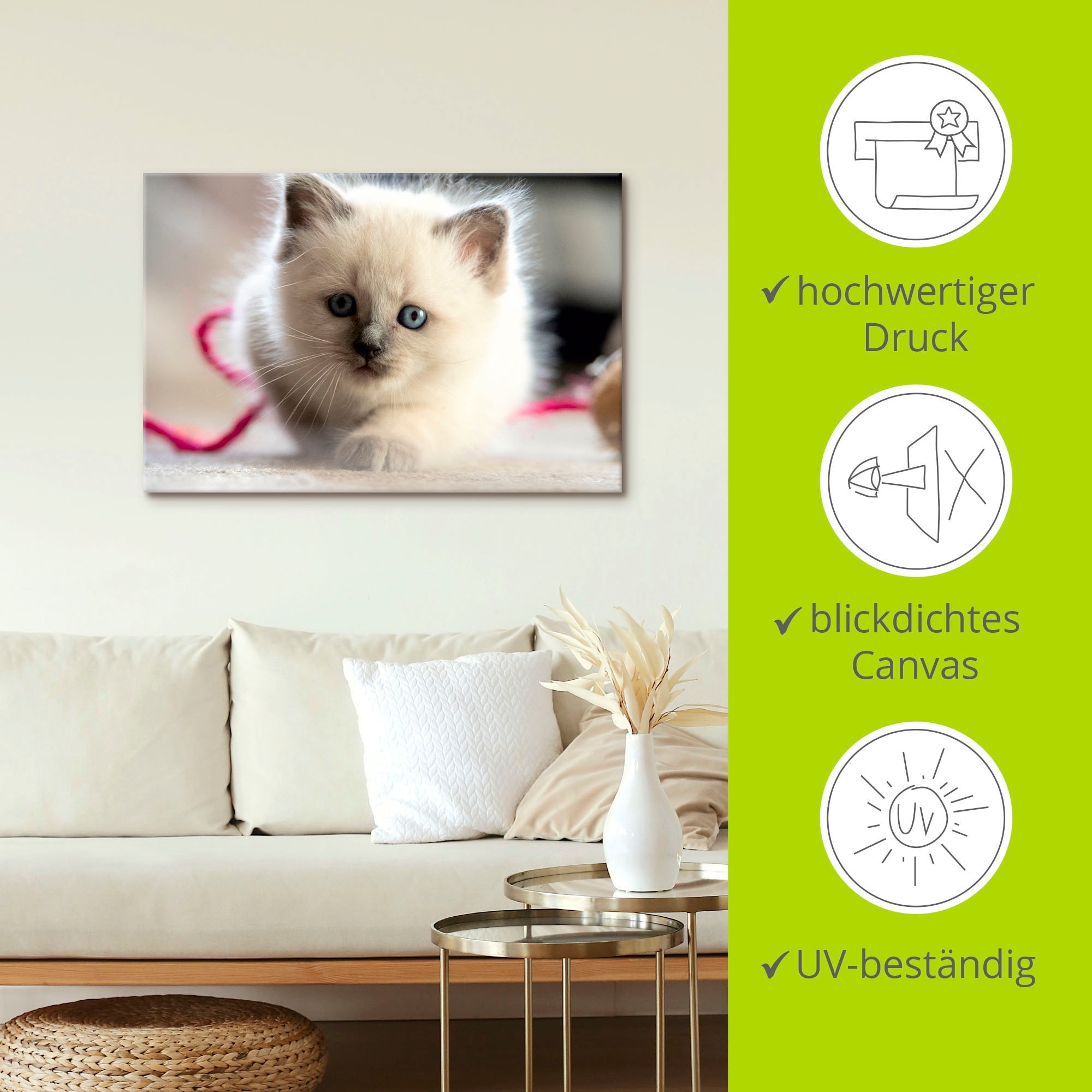 Artland Leinwandbild »Heilige Birma Katze im Spiel«, Katzenbilder, (1 St.), auf Keilrahmen gespannt