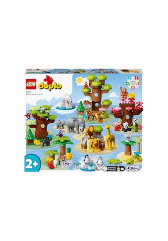 LEGO® Spielbausteine »Wilde Tiere der Welt 1«, (142 St.) kaufen