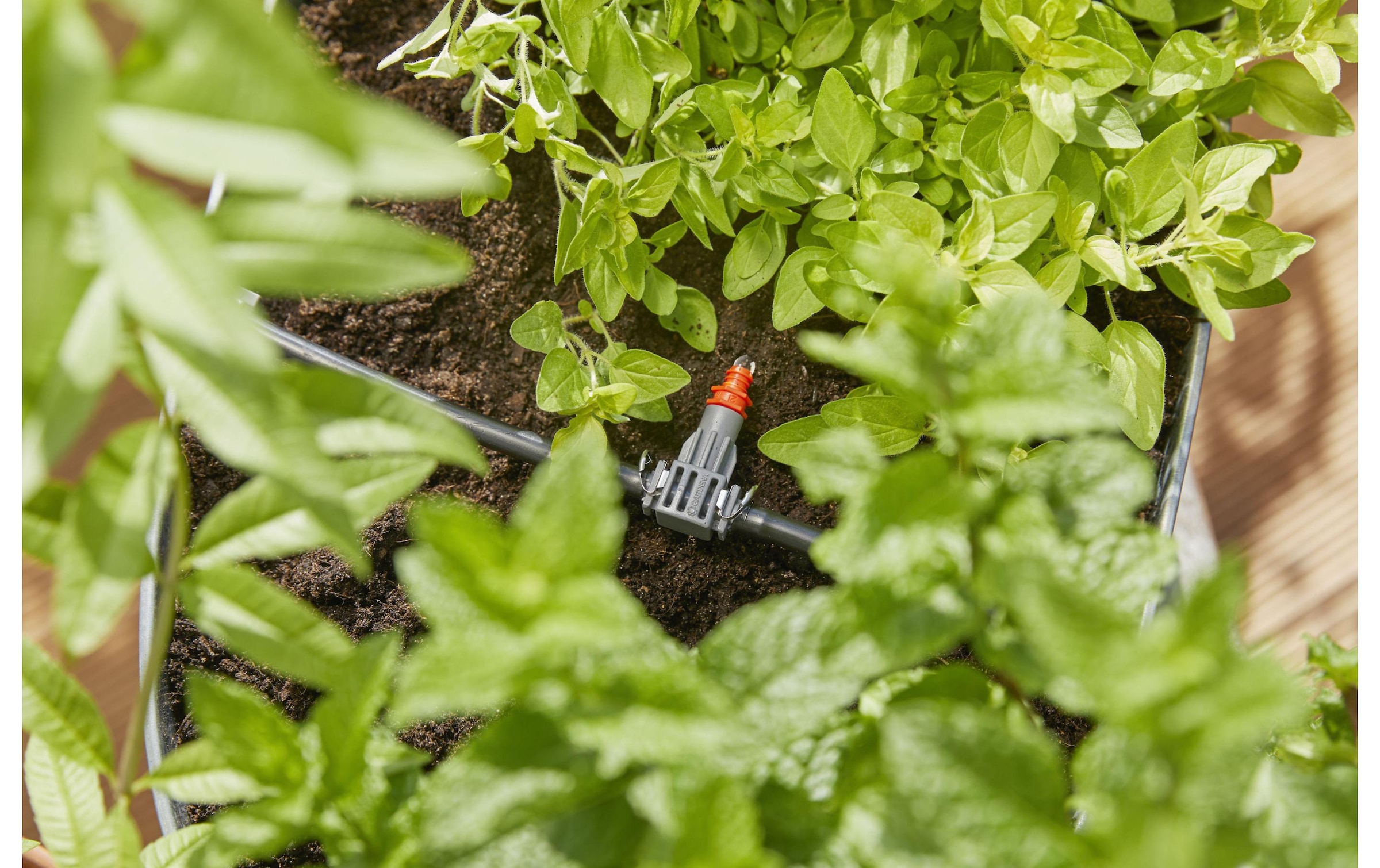 GARDENA Bewässerungssystem, Micro-Drip-System